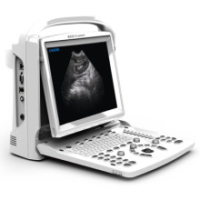 Tier Tierarzt Ultraschall schwarz weiße Doppler Laptop Portable (SC-ECO3)